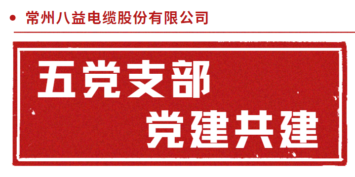 三門核電倒送電耐火電纜 五黨支部黨建共建！